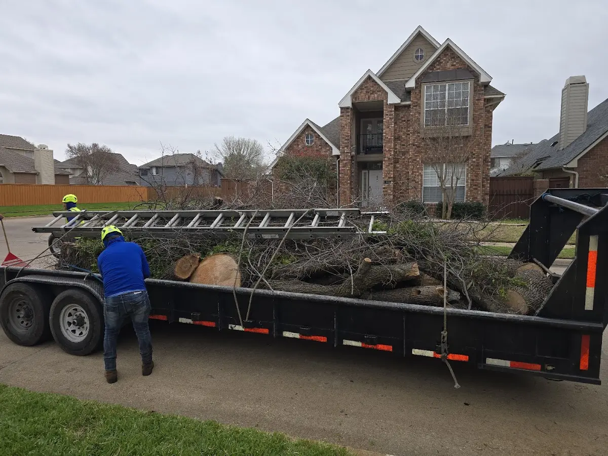 Expert Lot Clearing with proper safety equipment in Macomb